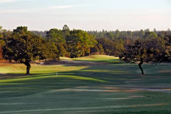 Twisted_Oaks_Course(2)